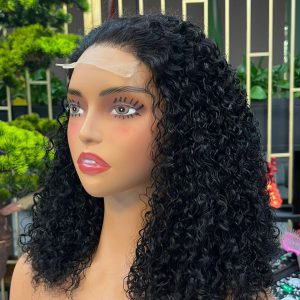 pissy curly 4x4 lace wig
