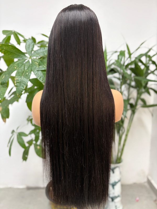 13x4 Lace Wig 100% Vietnamese Virgin Hair Bone Straight (Glueless) - 图片 2