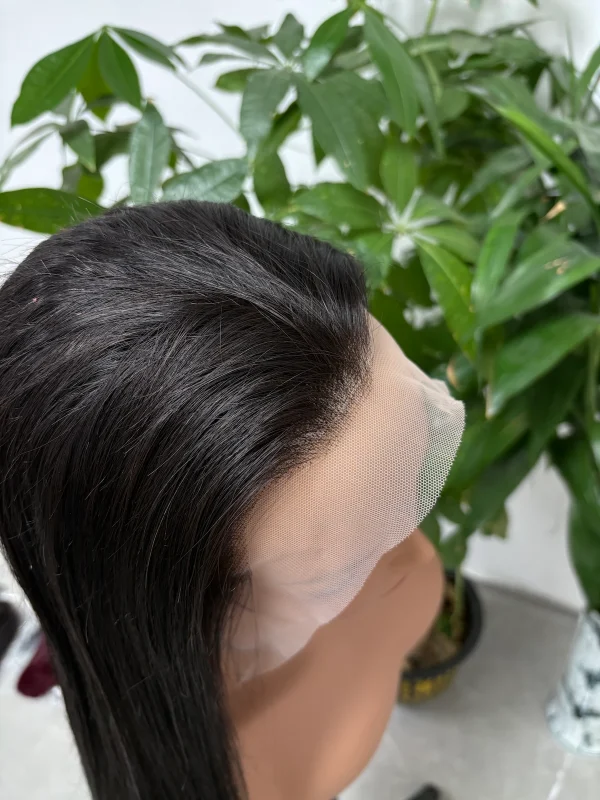 13x4 Lace Wig 100% Vietnamese Virgin Hair Bone Straight (Glueless) - 图片 6
