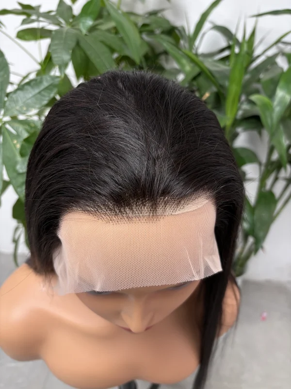 13x4 Lace Wig 100% Vietnamese Virgin Hair Bone Straight (Glueless) - 图片 5