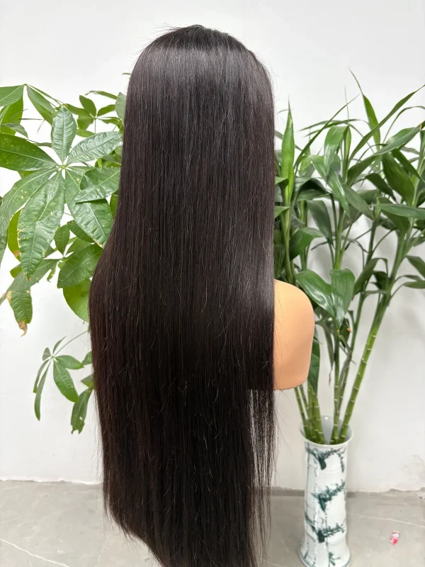 13x4 Lace Wig 100% Vietnamese Virgin Hair Bone Straight (Glueless) - 图片 8