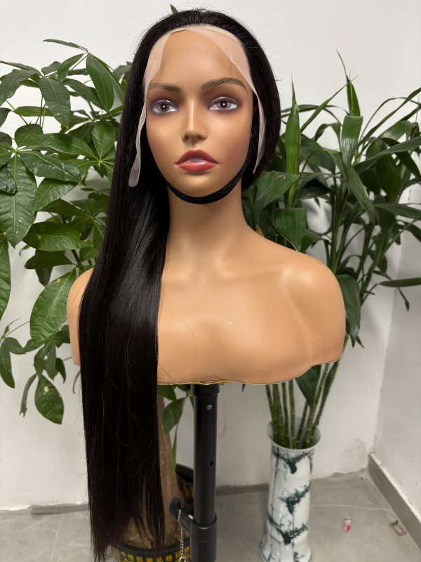 13x4 Lace Wig 100% Vietnamese Virgin Hair Bone Straight (Glueless)