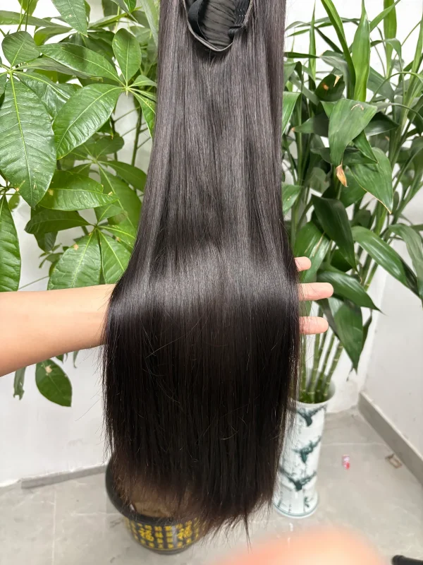 13x4 Lace Wig 100% Vietnamese Virgin Hair Bone Straight (Glueless) - 图片 3