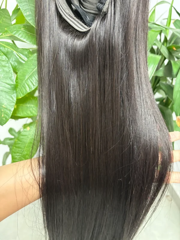 13x4 Lace Wig 100% Vietnamese Virgin Hair Bone Straight (Glueless) - 图片 4