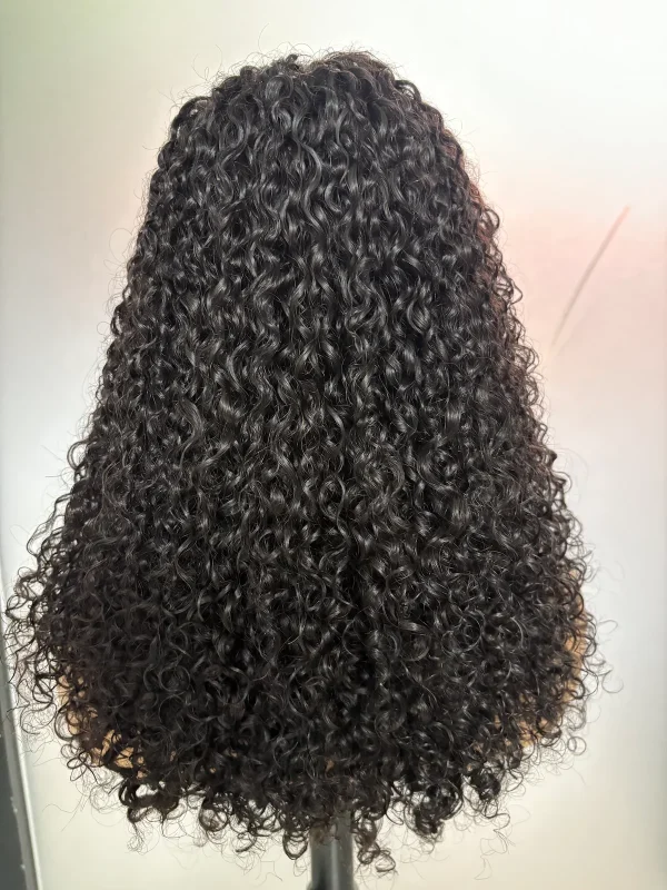 Pissy Curly 5x5 Lace Wig - 图片 4